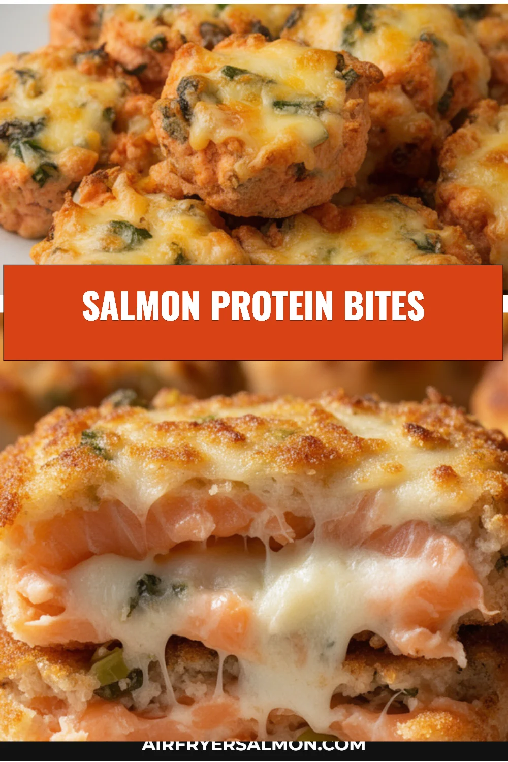 Salmon protein bites